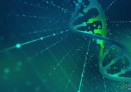 新冠病毒被证实会导致DNA损伤和细胞衰老，这会加速癌症和人类衰老吗？