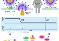 Cell：首例混合种族治愈HIV，成功的治疗“纽约病人”