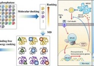 科学家利用生物分子模拟预测代谢酶新功能