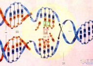 Nature子刊：遗传学家发现了隐藏的“全基因组复制”