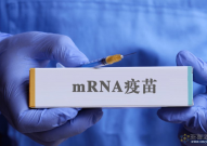 Science子刊：世界首个能抵御致死性细菌感染的mRNA疫苗问世