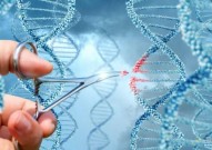 DNA修复研究有望帮助开发出新型靶向性癌症疗法