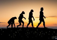人类仍在演化吗？自然选择演化休止？社会因素可推动改变？