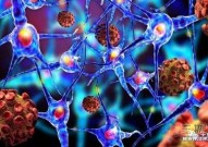 Science子刊：恶性脑肿瘤细胞可能处于有序与无序之间的“临界点”