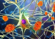 《Nature》发现新型脑细胞，它们具有保护中枢神经系统能力