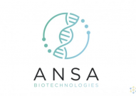 1005个碱基！下一代DNA合成先驱Ansa从头合成世界最长寡核苷酸