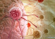 癌症治疗新希望！Science：消除癌细胞中多余染色体可防止肿瘤生长！
