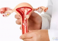 首个人类卵巢类器官可支持卵子成熟，为治疗不孕症/卵巢癌等生殖系统疾病开辟新道路