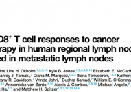 Cell：颠覆性发现，淋巴结能促进癌症免疫治疗的成功？