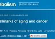 Cell系列综述：全面总结衰老与癌症之间的关系