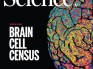 《Nature》特刊：里程碑式的表观基因组脑图谱