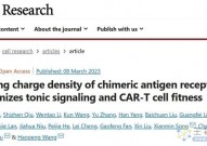 助推“抗癌力”，新型细胞免疫治疗设计方法有望提升实体瘤治疗效果