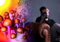 Science：“毒蘑菇”为何能治抑郁症？最新研究揭示致幻剂抗抑郁的关键机制