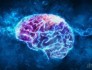 Nature颠覆性发现：压力过大的脑细胞才是阿尔茨海默病等神经退行性疾病的根本原因？