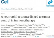 Cell：揭示中性粒细胞在肿瘤免疫疗法中的重要作用，或为免疫疗法成败的关键！