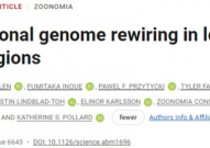 Science：揭示人类加速进化区发生的结构变异导致人类基因组折叠方式不同于其他灵长类动物