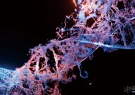 基因编辑递送系统：将“手术刀”送进突变细胞