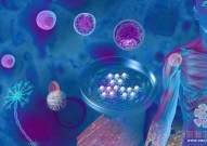著名癌基因Myc又添新罪证：改变癌细胞表面糖分子，逃避免疫系统识别！