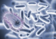 Mol Cell：揭示细菌产生抗生素耐药性新机制