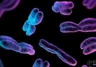 人造生命新里程碑：一半天然、一半人工合成的酵母细胞问世