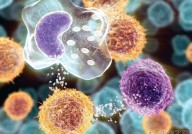NBT：单细胞适应性免疫受体库揭示淋巴细胞发育起源