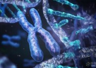 《Science》抗癌新目标：消除癌细胞中多余的染色体