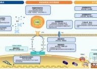 第二代Biotech渐趋成熟，这家生物企业或将在2025年迎来小爆发，为啥？