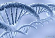 2023年生物科技趋势：合成生物占据“C位”