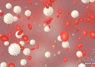 Nature：重大发现！淋巴管竟可产生红细胞和白细胞