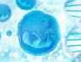 Nature：利用羊水细胞开发类器官：对抗罕见疾病的新希望