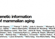 认知又被刷新！《细胞》：人类衰老的真正原因，我们一直都错了