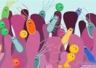 肠道微生物群影响癌症的发生、发展、治疗和预后