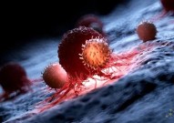是敌是友？Cell论文揭示中性粒细胞在癌症中的双重命运，为癌症免疫治疗开辟新道路