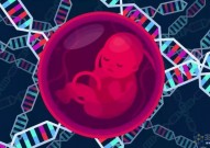 Cell：吴军团队开发基于3D培养可产生胚胎和胚外组织的干细胞模拟人类早期胚胎发育