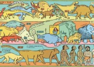 Science专题特刊：哺乳动物的进化为理解人类疾病的起源提供了线索