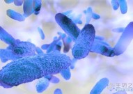 对抗「超级细菌」，哈佛团队全人工合成新型抗生素克雷霉素，克服多重耐药性细菌