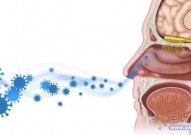 新冠研究：嗅觉丧失与嗅觉神经细胞持续受到免疫攻击有关