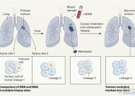 《Nature》：肺癌研究领域重大突破！科学家绘制出肺癌进化分子画像，肺癌诊疗或迎新变革