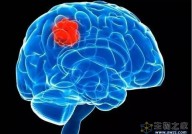 Nature颠覆性发现：大脑思考，促进肿瘤生长！胶质瘤通过劫持神经元影响认知和生存