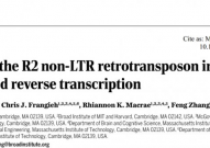 Science：张峰团队解析非长末端重复逆转录转座子起始逆转录的结构基础