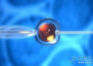 新里程碑！干细胞体外人工胚胎横空出世，人类未来的繁衍方式将如何发展？