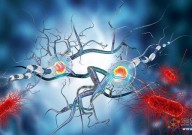 细胞疗法重大改进！Nature：哈佛医学院最新研究或可解决帕金森病移植神经元死亡难题，为治疗神经退行性疾病提供新途径！