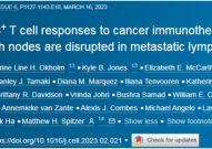 Cell：完整的淋巴结有望提高免疫疗法治疗实体瘤的疗效