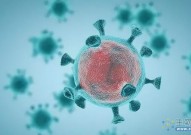《细胞》：章新政/向烨团队揭示甲病毒跨物种传播机制