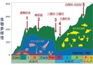 2.5亿年前的贵阳生物群：史上最大生物大灭绝后的新世界见证者