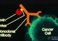 首次！我国生物工业界揭示ADC耐药机制，并展示新一代ADC技术平台