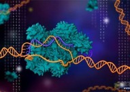 《Nature Genetics》黑暗基因组的主调节器极大地改善了癌症T细胞治疗