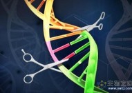 一次性治疗两种罕见血液病，Vertex有望推出首个基于CRISPR技术的基因编辑疗法