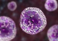 Nat Med：16种癌症类型、超30万个细胞！新泛癌T细胞图谱揭示肿瘤浸润T细胞“罢工”新方式