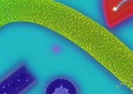 Nature第一次绘制人类肠道单细胞图谱：不同细胞类型的邻居如何共同促进健康的肠道